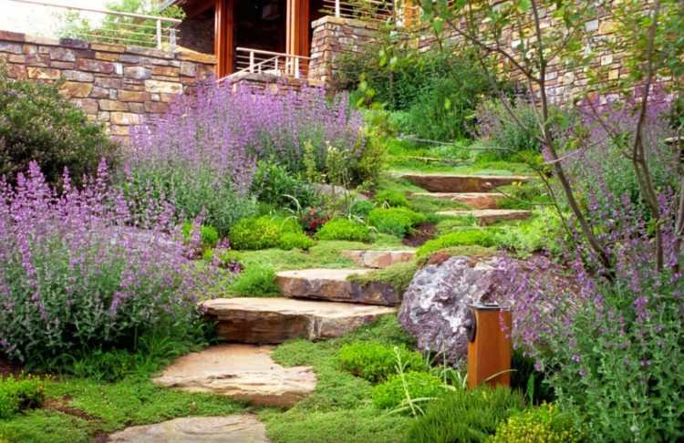 Drought Tolerant Landscaping Ideas