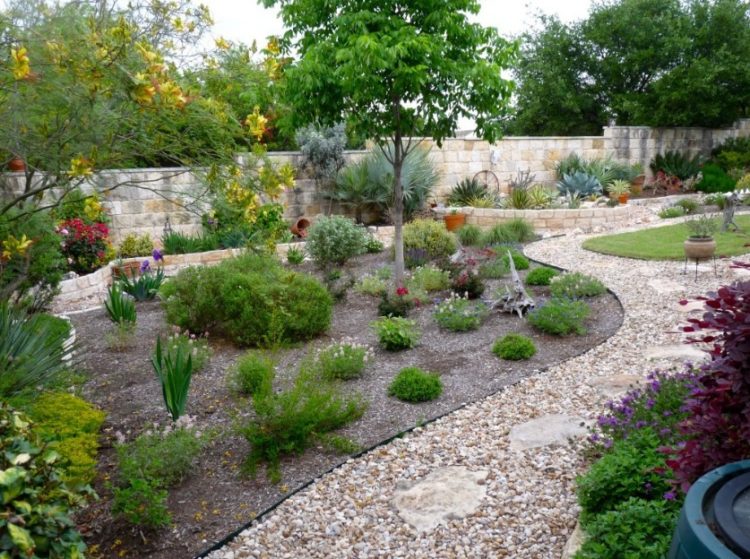 Drought Tolerant Landscaping 