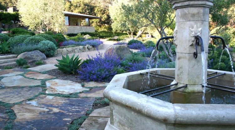 Drought Tolerant Landscaping 