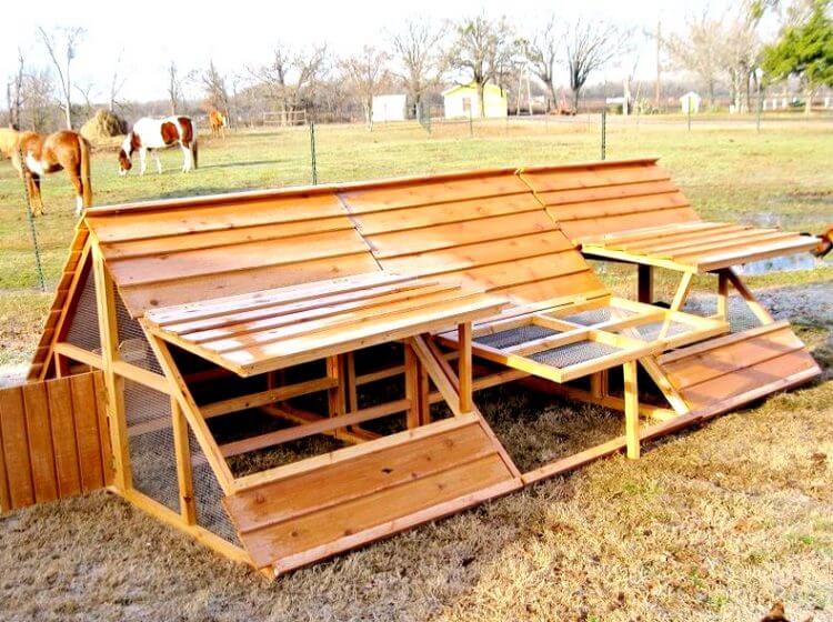 Chicken Coop Ideas