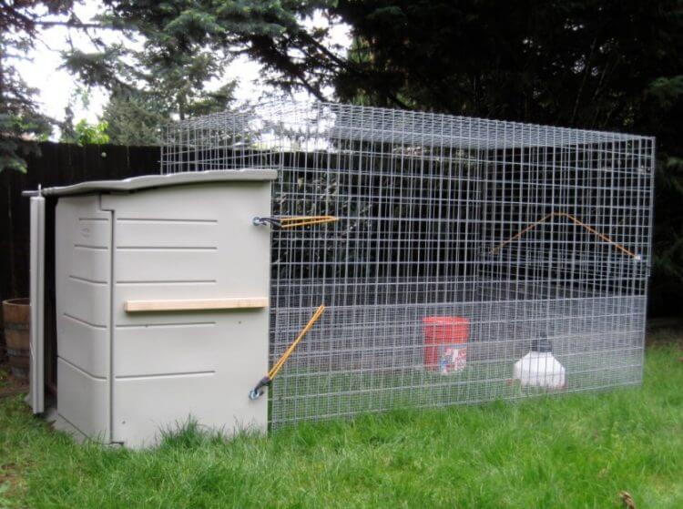 Chicken Coop Ideas