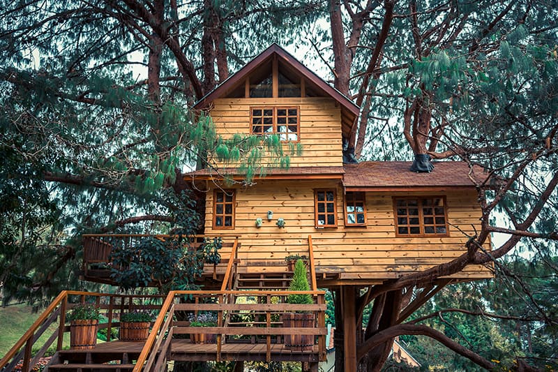 Awesome Treehouse Design Ideas