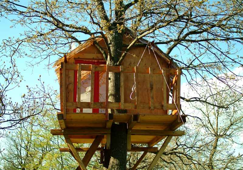 Build a Treehouse