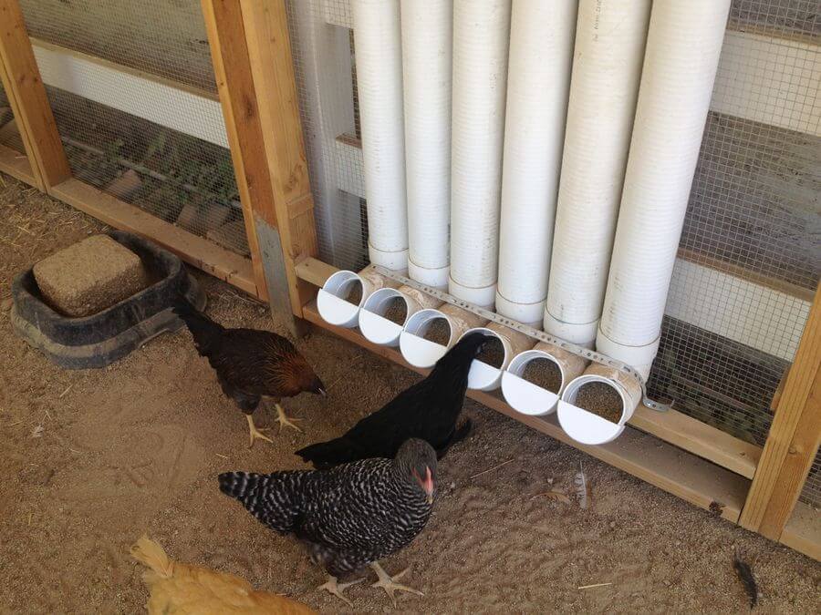 chicken coop feeding design