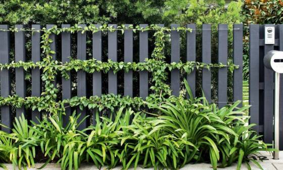 30 Cheapest and Easiest Fence to Install Designs that Will Inspire You
