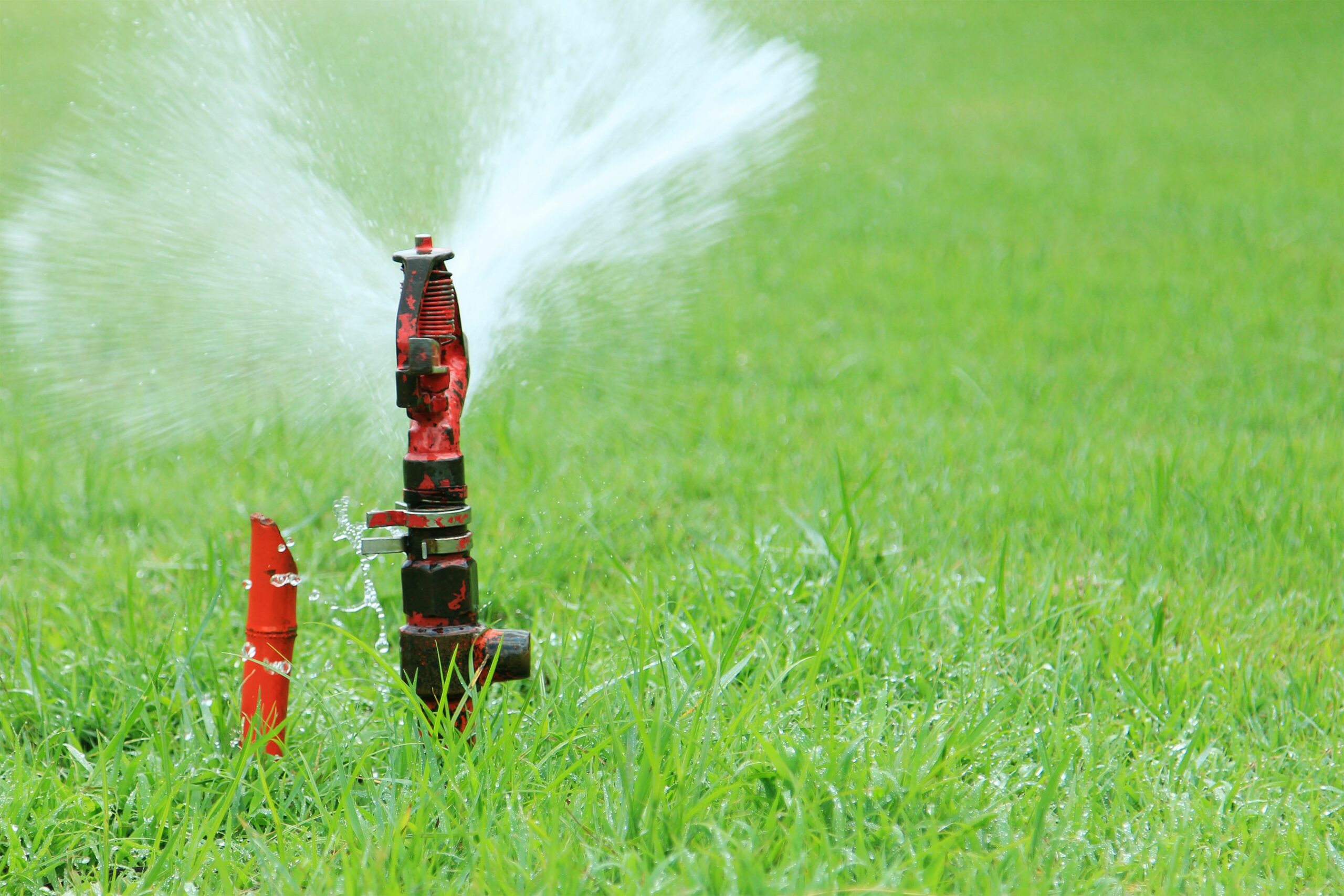 Install a sprinkler system