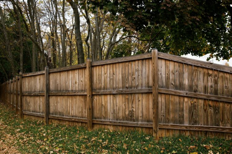 Wood Fence with Trees