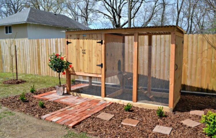 Building a backyard chicken house