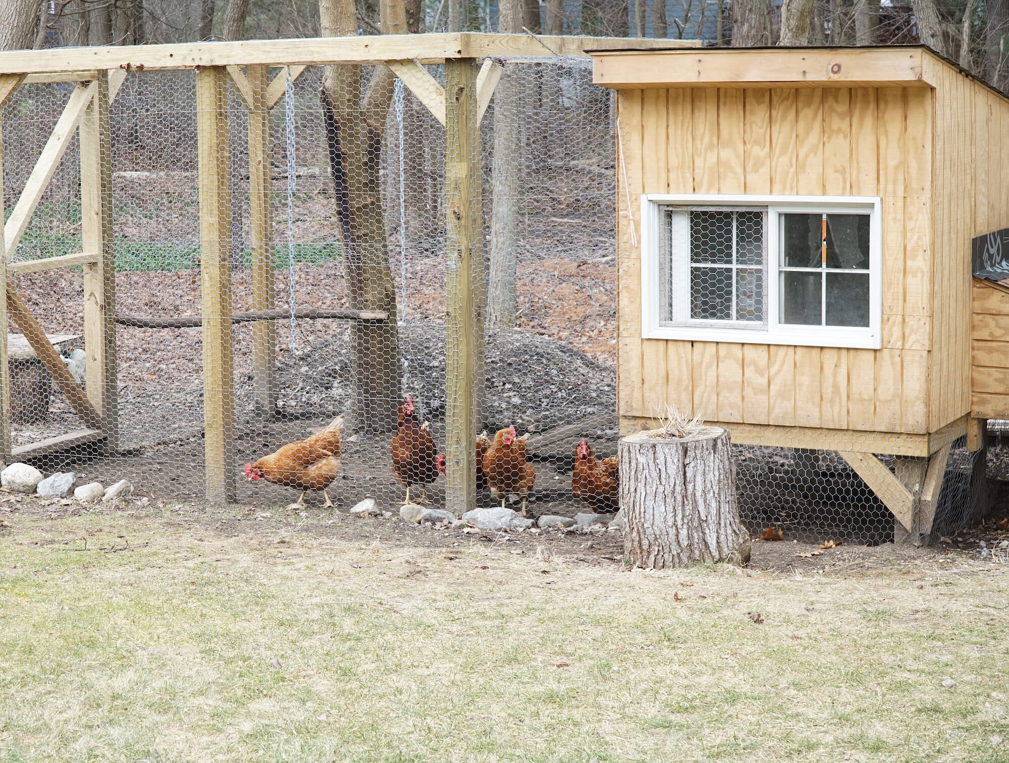 19 Outstanding Chicken Coop Designs Ideas to Inspire You - TheSkunkPot ...