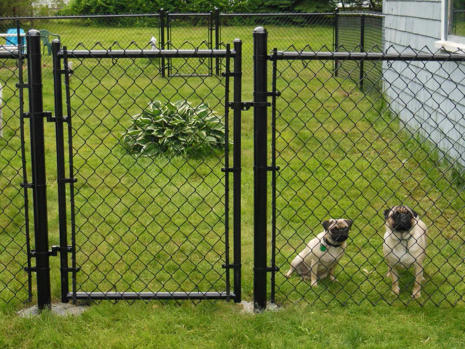 Metal Chain Link Fence