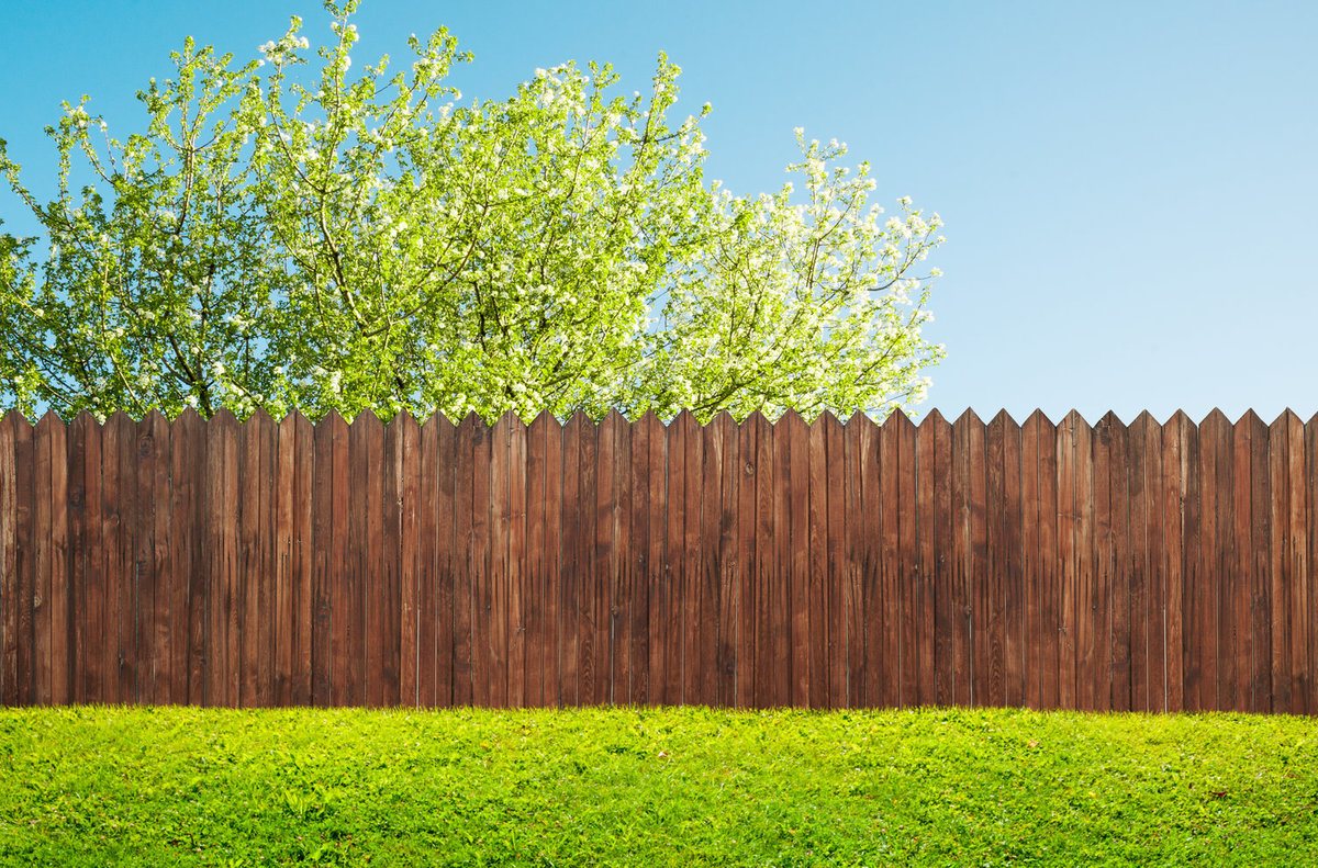 Pine Privacy Fence