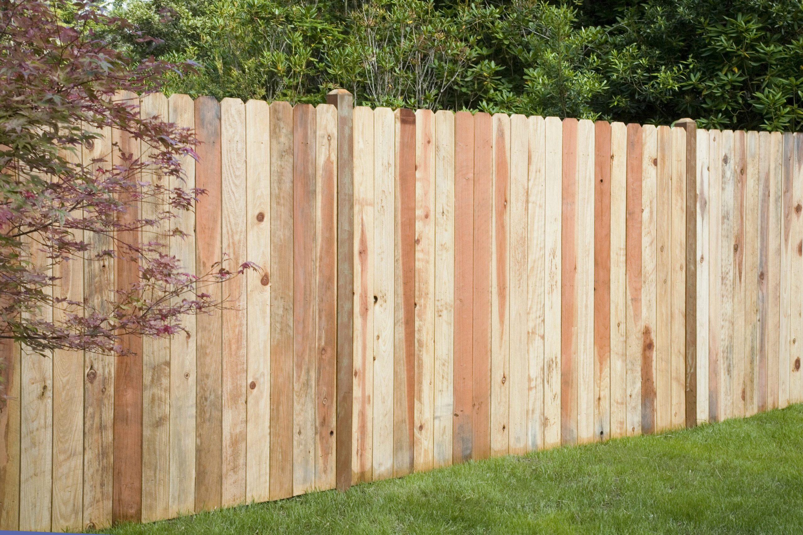 Simple Redwood Fence