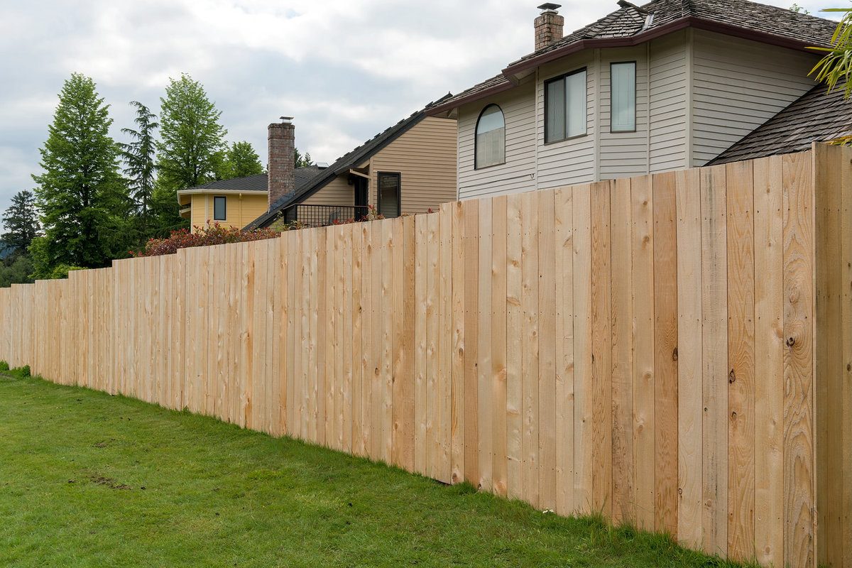 Unfinished Cedar Privacy Fence