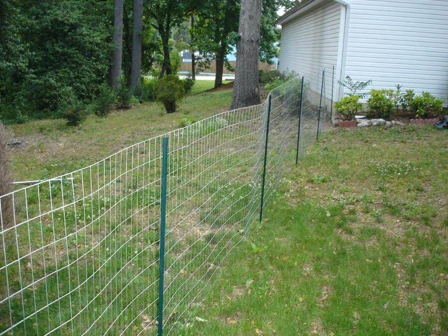 Welded Mesh Dog Fence